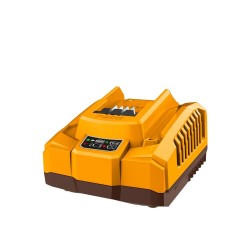 Φορτιστής 20V InGCO (Θέσεις - 1)