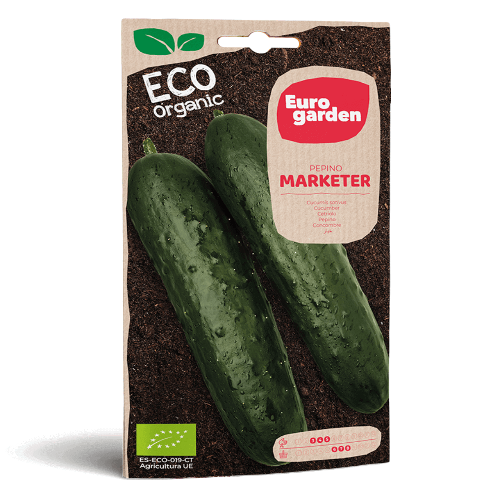 Σπόροι Αγγουριού Eco