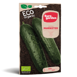 Σπόροι Αγγουριού Eco