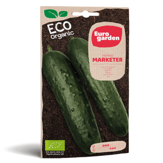 Σπόροι Αγγουριού Eco
