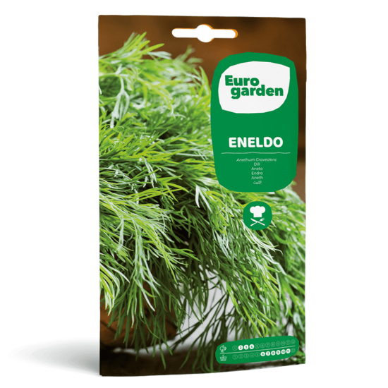 Σπόροι Άνηθου