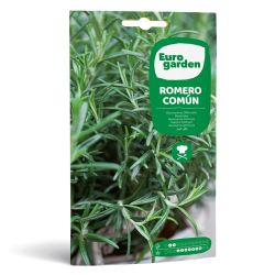 Σπόροι Δεντρολίβανου