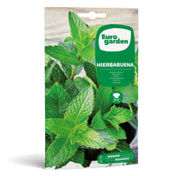 Σπόροι Δυόσμου