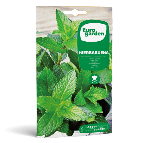 Σπόροι Δυόσμου