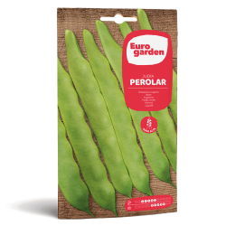 Σπόροι Φασολιού Αναρριχώμενου