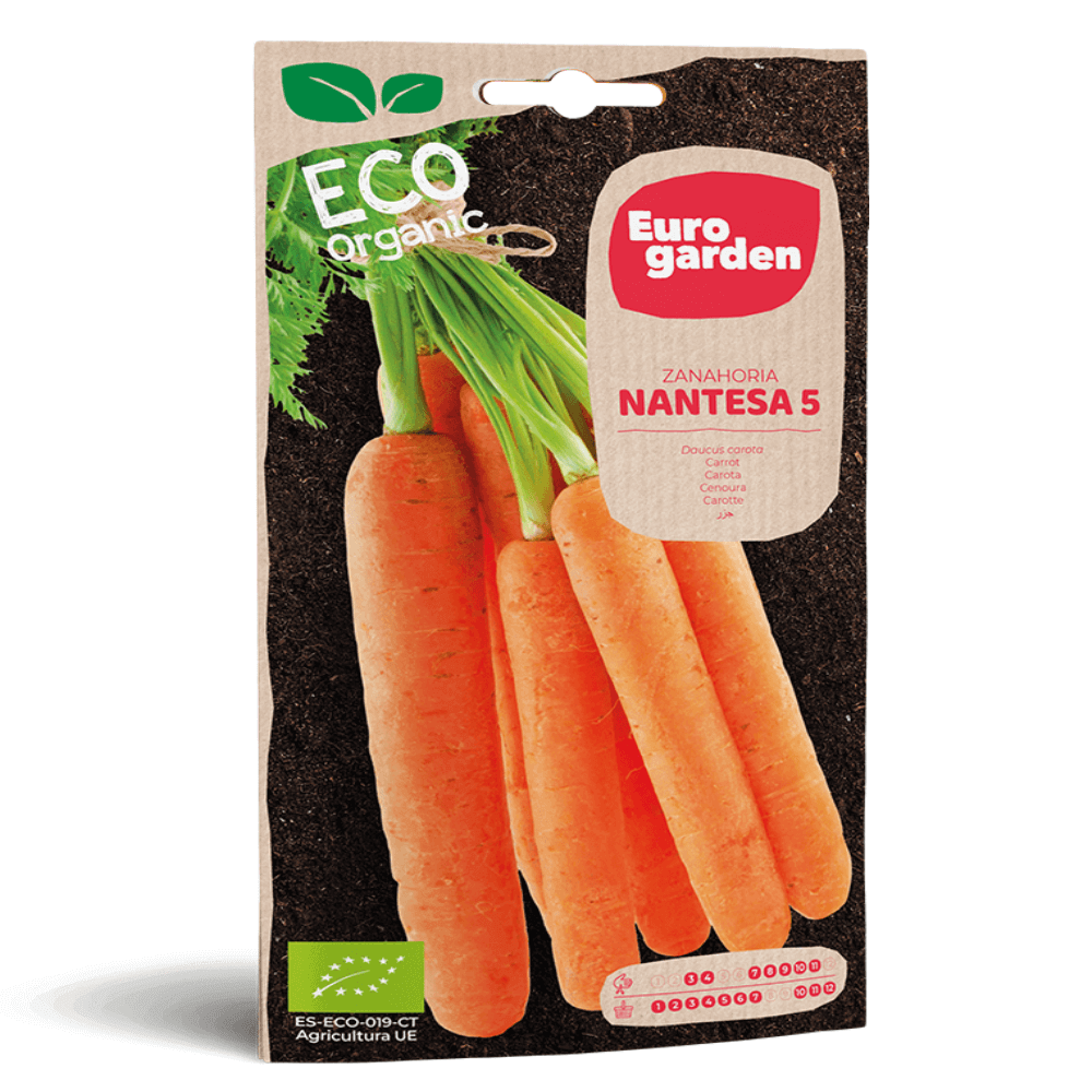 Σπόροι Καρότου Eco