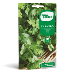 Σπόροι Κόλιανδρου