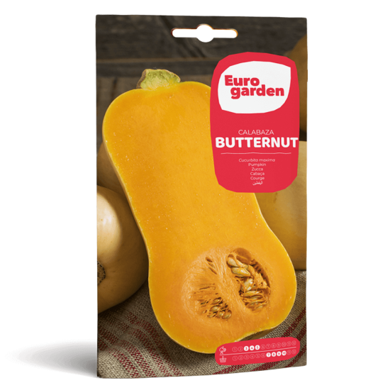 Σπόροι Κολοκύθας