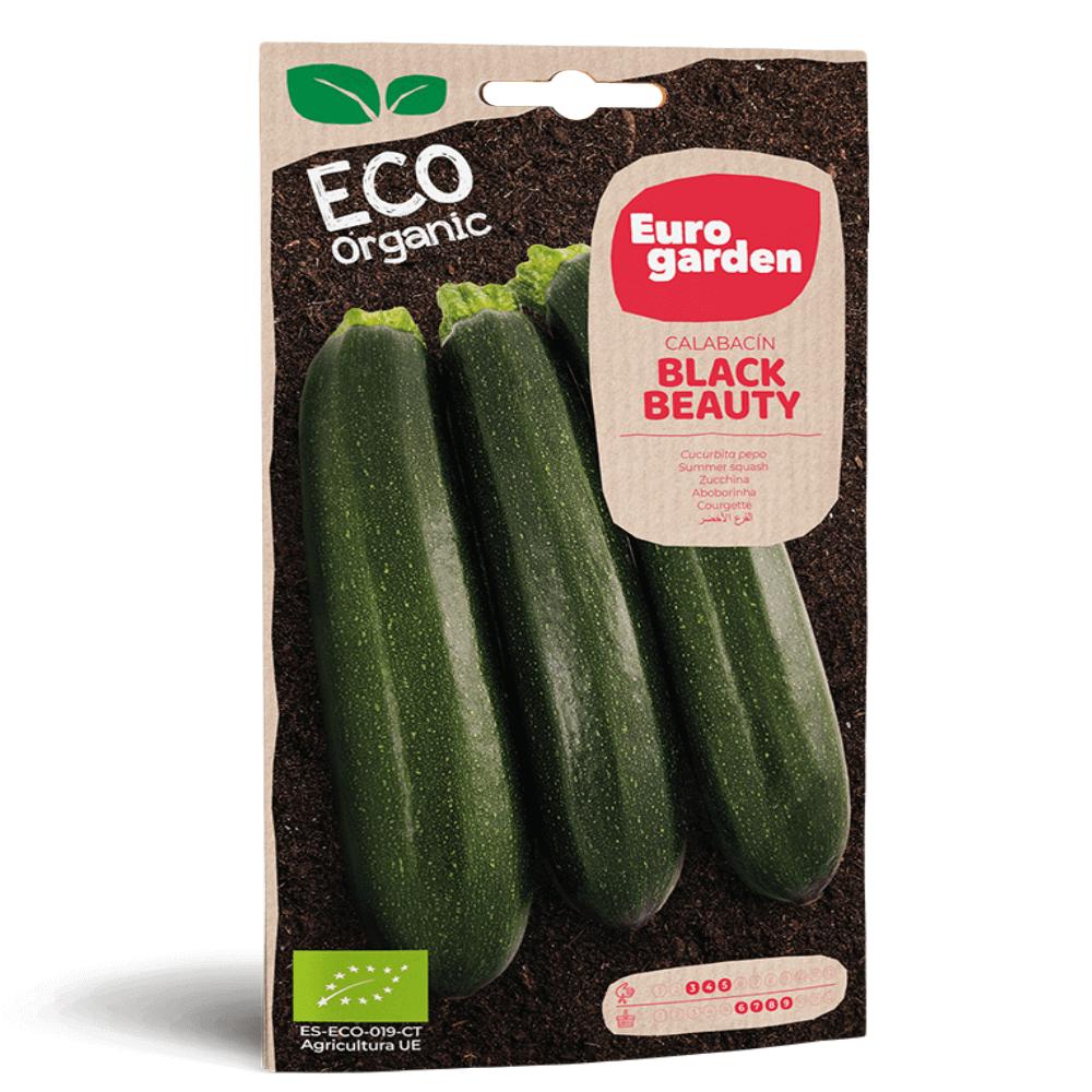 Σπόροι Μαύρου Κολοκυθιού Eco