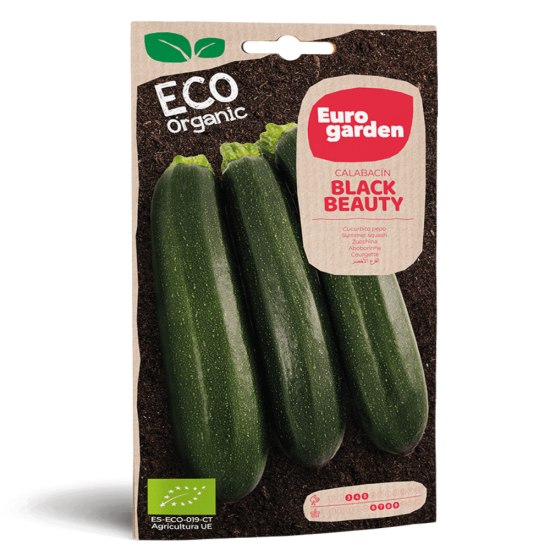 Σπόροι Μαύρου Κολοκυθιού Eco