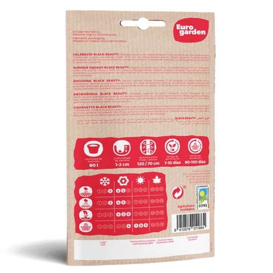 Σπόροι Μαύρου Κολοκυθιού Eco