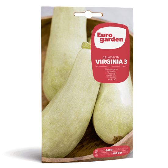 Σπόροι Κολοκυθιού