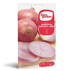 Σπόροι Κρεμμυδιού