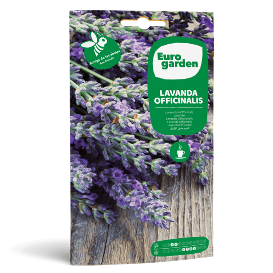 Σπόροι Λεβάντας