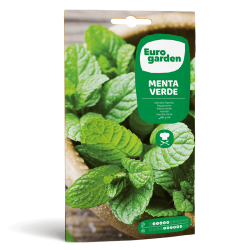 Σπόροι Μέντας