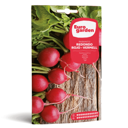 Σπόροι Ραπανακίου