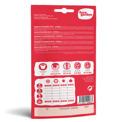 Σπόροι Ραπανακίου