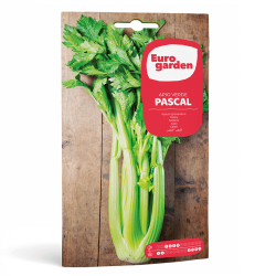 Σπόροι Σέλινου