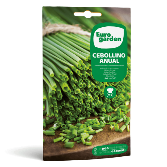 Σπόροι Σχοινόπρασου