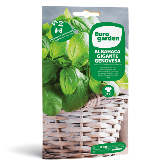 Σπόροι Πέστο Βασιλικού